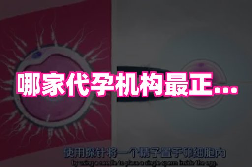 长沙助孕网站 1
