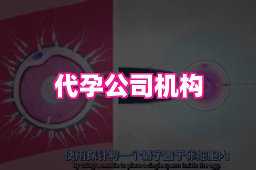 长沙助孕网站 2