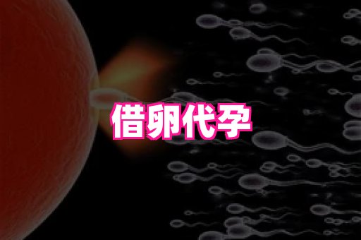 长沙助孕网站 4